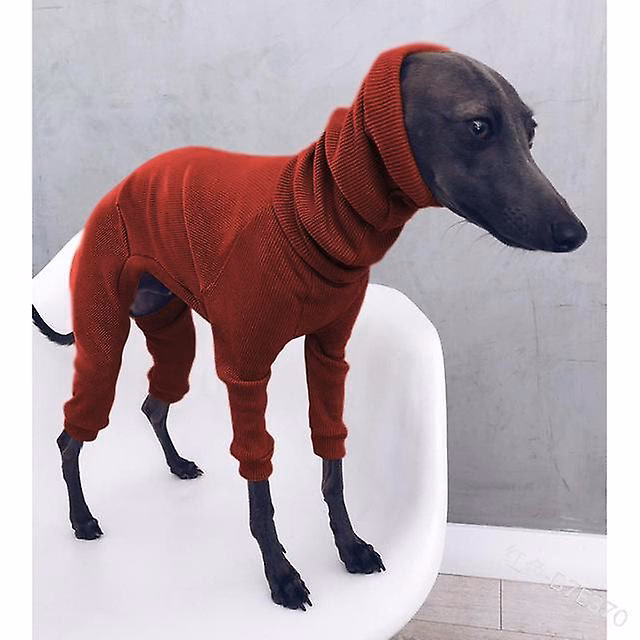Why did I start designing outfits for my Greyhound?