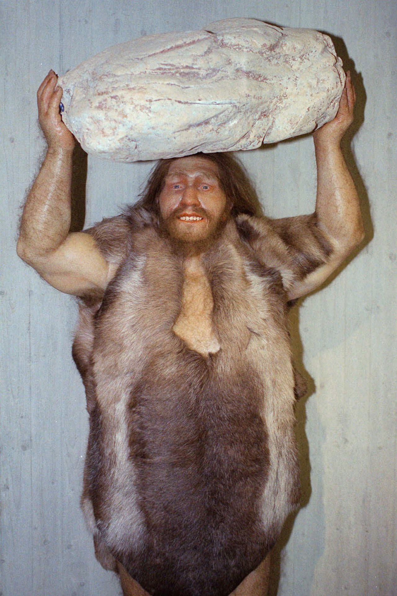 How did Neanderthals wear their teeth?